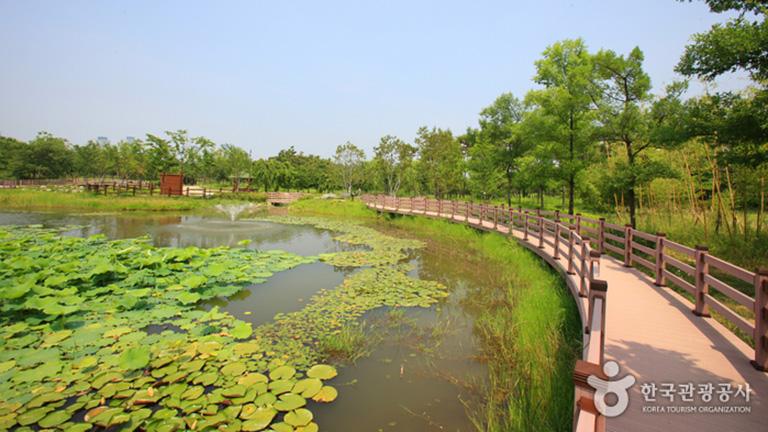 Lotte City Hotel Daejeon - Introduction - Daejeon Tourist Spot - Hanbat Arboretum