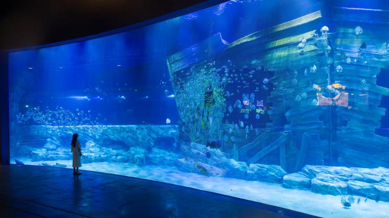 Lotte Aquarium