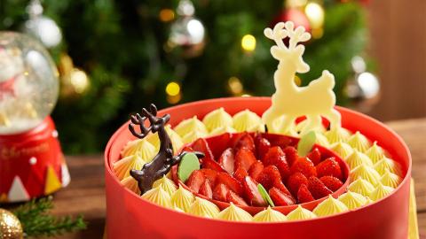 Delica- Hans festive cake