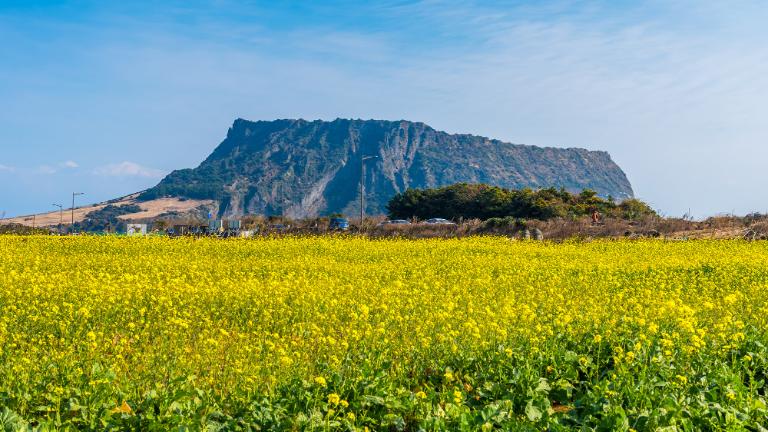 jeju, Tourist Attractions