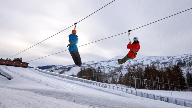 Zip Line