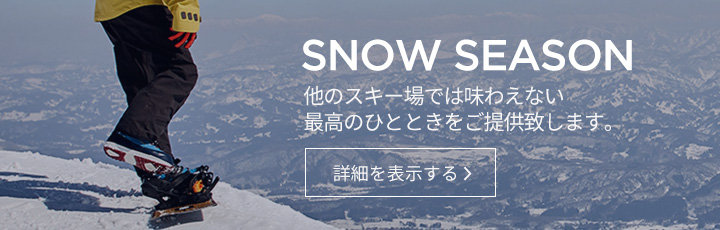 snow season banner
