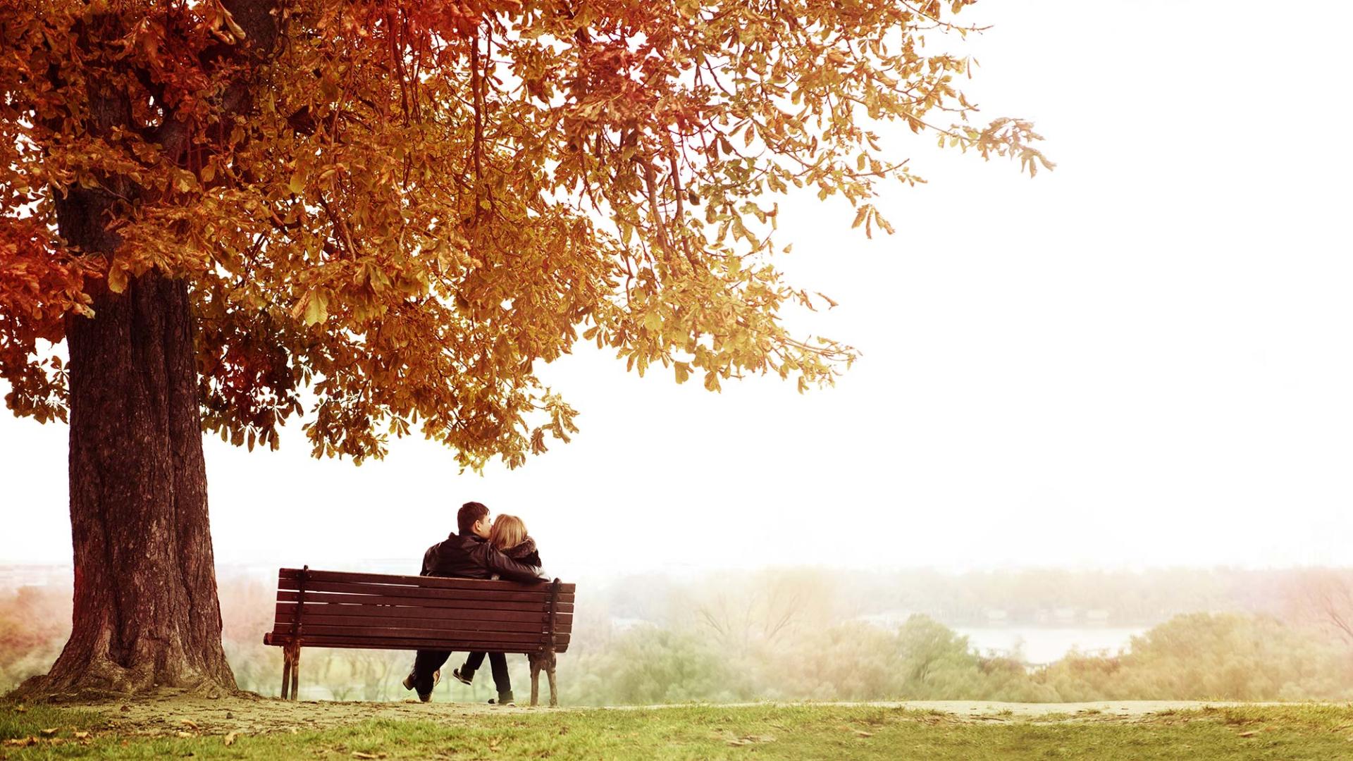 Young Couple Sitting and Kissing on a Bench in the Beautiful Autumn Day