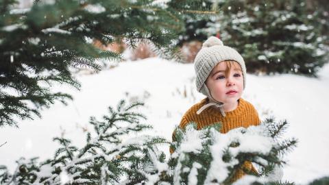 Little boy and the snow