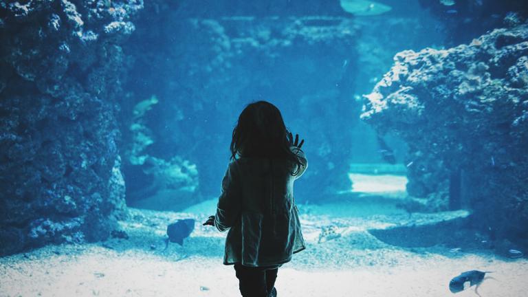 Children, Aquarium