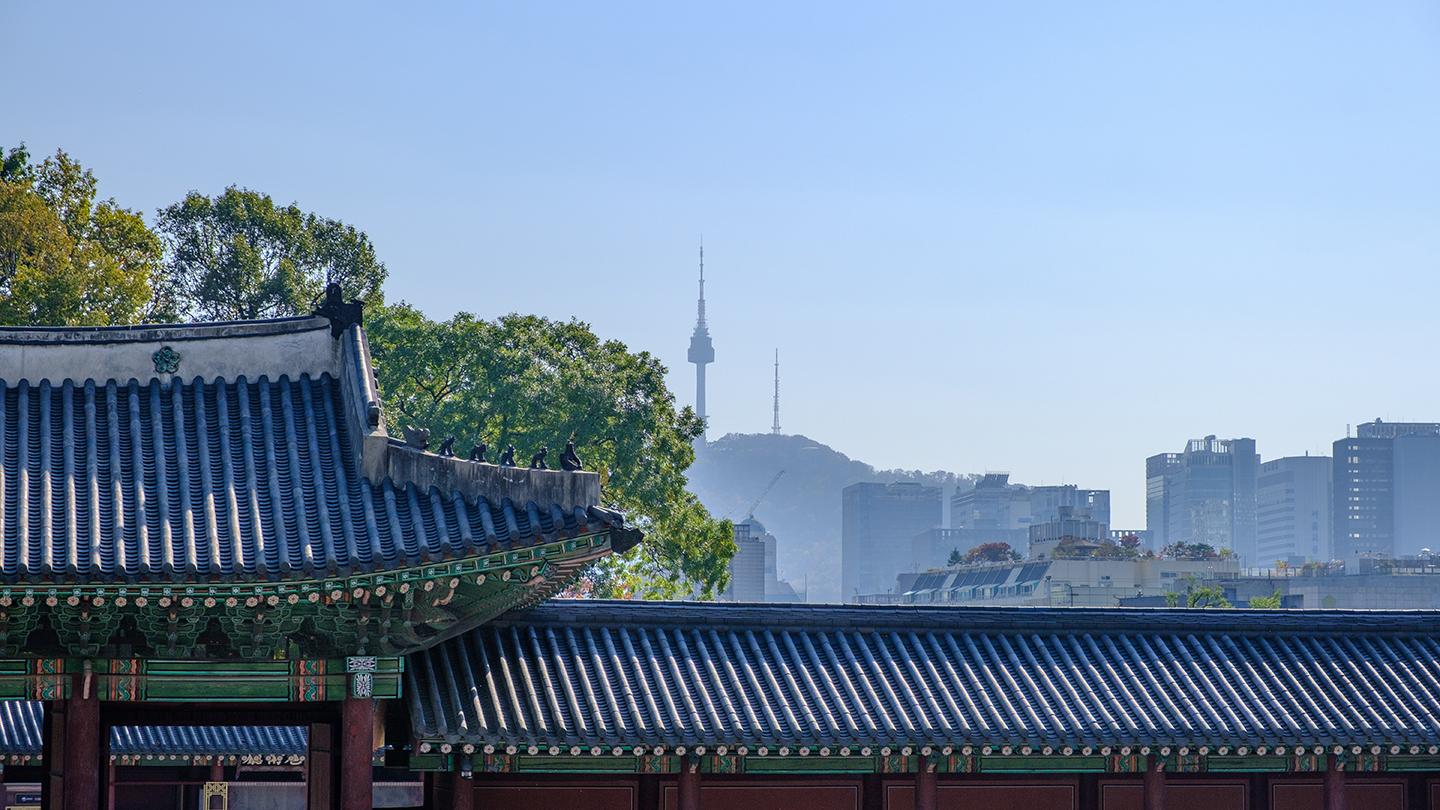 서울, 남산타워, 도시, 경복궁