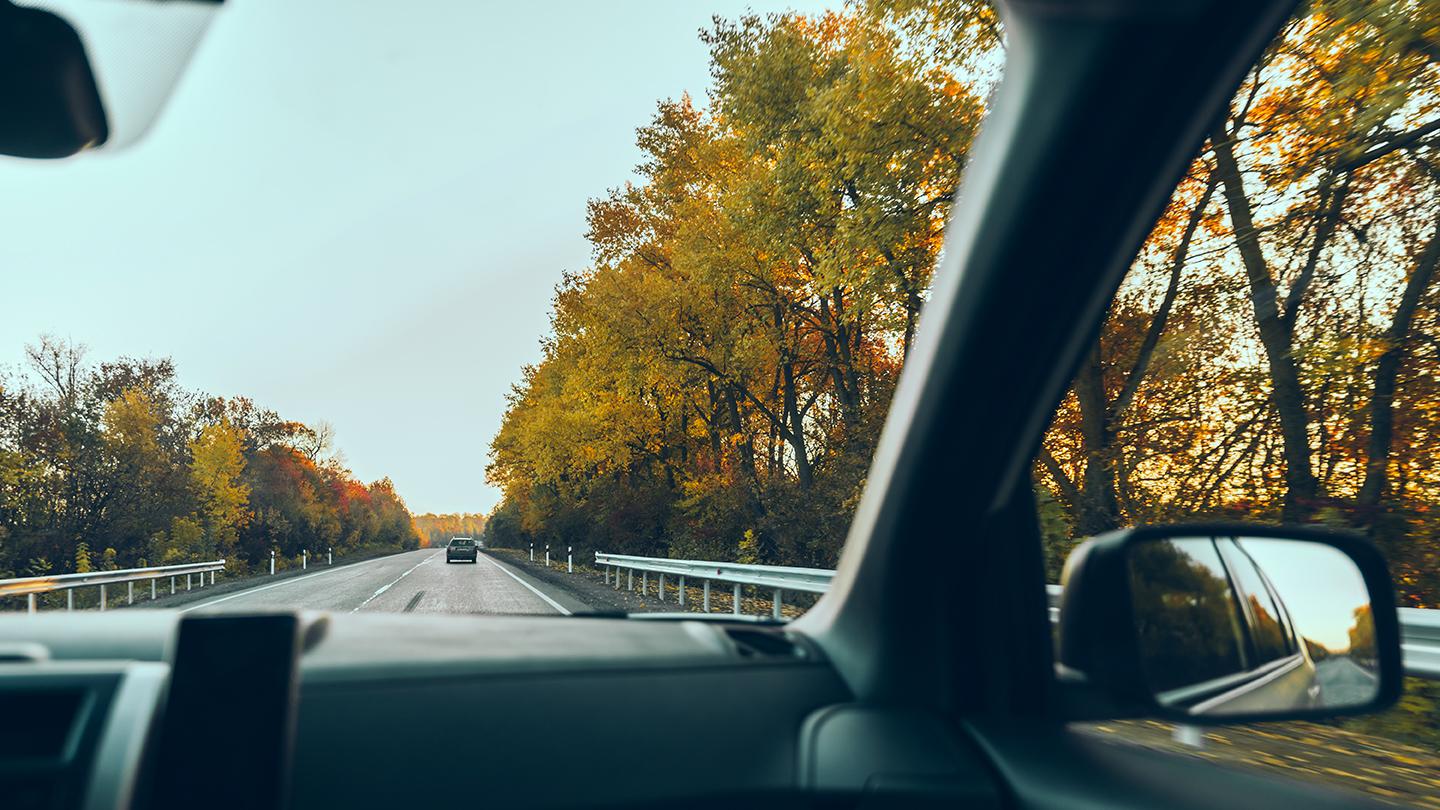 가을, 차, 여행, 고속도로